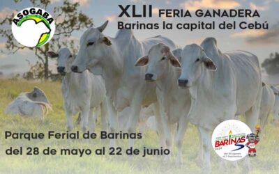 Feria del Cebú Barinas